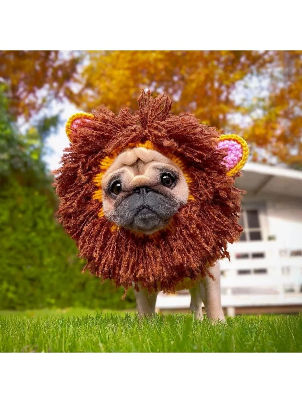Cozy Knit Lion Mane Dog Snood - Warm Ear Wrap for Pets, Halloween & Winter